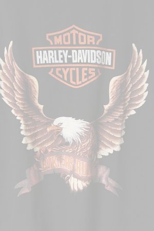 画像3:  {SOLD} Vintage HARLEY DAVIDSON BIKERS RULES EAGLE DOUBLESIDE TEE{-BAA}