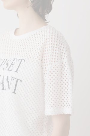 画像6:   グレースコンチネンタル｜GRACE CONTINENTAL  クラッシュロゴTシャツ{-BES}