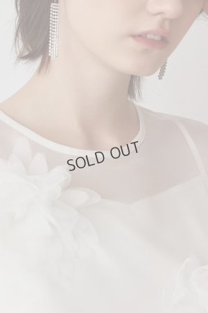 画像4: {SOLD}グレースコンチネンタル｜GRACE CONTINENTAL  メッシュフラワートップ{-BES}