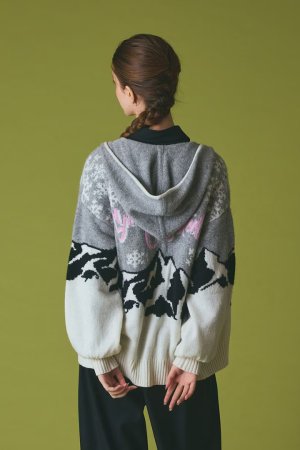 画像5: グレースコンチネンタル｜GRACE CONTINENTAL グレースクラス GRACE CLASS スノージャガードニットフーデ{-BEA}