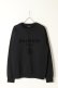 画像1: {SOLD}BALMAIN バルマン C&S PULL FLOCKY LOGO{-BJA} (1)