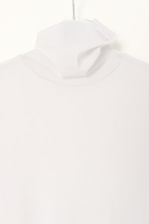 画像3:   ダブスタ ダブルスタンダードクロージング｜DOUBLE STANDARD CLOTHING Sov. / ハイネックチュールスキントップス{-BCA}