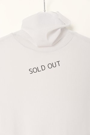 画像3: {SOLD}ダブスタ ダブルスタンダードクロージング｜DOUBLE STANDARD CLOTHING Sov. / ハイネックチュールスキントップス{-BCA}