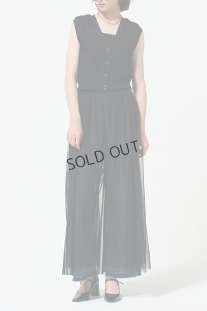 画像1: {SOLD}グレースコンチネンタル｜GRACE CONTINENTAL ダイアグラム DIAGRAM  チュールレイヤードパンツ{-BDA}