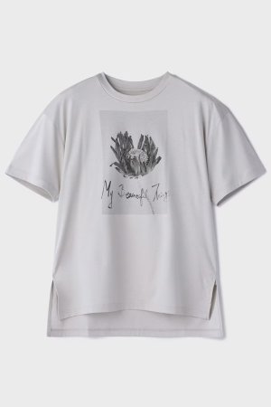 画像8: ★取り寄せリクエスト注文受付中★ グレースコンチネンタル｜GRACE CONTINENTAL ダイアグラム DIAGRAM  カットフォトTシャツ{-BEA}