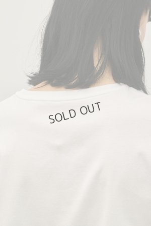 画像13: グレースコンチネンタル｜GRACE CONTINENTAL ダイアグラム DIAGRAM  シフォンスリーブカットトップ{-BFS}