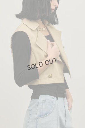 画像19: グレースコンチネンタル｜GRACE CONTINENTAL ダイアグラム DIAGRAM  ペプラムトレンチベスト{-BFS}