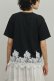 画像4: グレースコンチネンタル｜GRACE CONTINENTAL ダイアグラム DIAGRAM  レースヘムロゴTシャツ{-BFS} (4)
