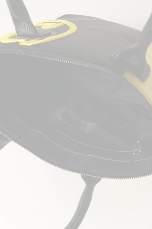画像7:   G/FORE ジーフォア UNISEX LIMONTA/DAVIS カートバッグ{-BCS}