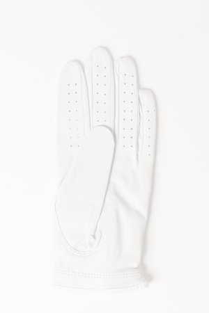 画像2:   G/FORE ジーフォア WOMENS PLUS GLOVE (LEFT) G4LS22G59{-BBA}