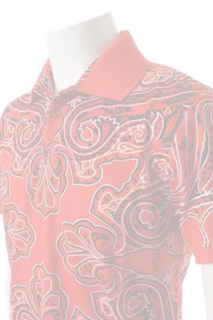 画像5:   ETRO エトロ POLO TOM STAMPATA M/{11513-4049-0600-ADS}