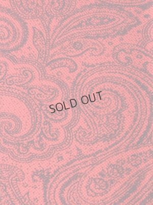 画像5: {SOLD}ETRO エトロ POLO STAMPATA DEGRADE　ポロシャツ{-ACS}