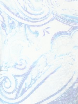 画像5:   ETRO エトロ POLO STAMPATA STRETC　ポロシャツ{-ACS}