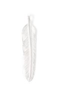   Taro Washimi タロウ ワシミ 鷲見太郎 M flight feather 02 {-BES}  {E-13}  {E-41}  :1FFM02-F 