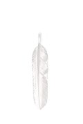   Taro Washimi タロウ ワシミ 鷲見太郎 S flight feather 01 {-BES}  {E-38}  :1FFS01-F 