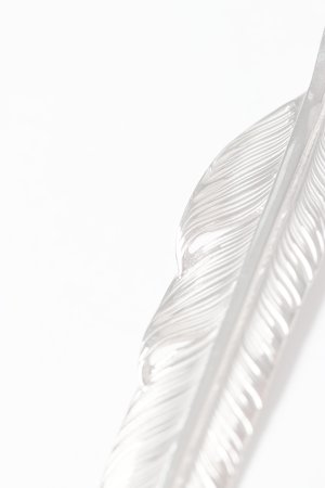 画像3:   Taro Washimi タロウ ワシミ 鷲見太郎 S flight feather 02 {-BES}  {E-39}  :1FFS02-F 