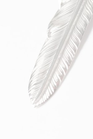画像4:   Taro Washimi タロウ ワシミ 鷲見太郎 S flight feather 02 {-BES}  {E-39}  :1FFS02-F 