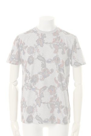 画像1:   ETRO エトロ T-SHIRT M/M{1Y020-4016-0003-AGS}