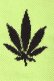 画像5: {SOLD}Palm Angels パームエンジェルス WEED WRISTBAND{PMOA001S7195049-4110-AGS} (5)