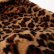 画像5: VIOLAd'ORO ヴィオラドーロ FUR BAG{-BFA} (5)