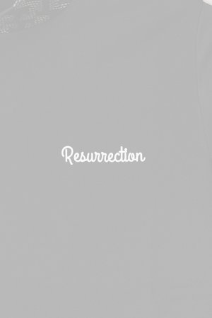 画像3:  {SOLD} レザレクション｜Resurrection GMネック モックネック{-BBS}