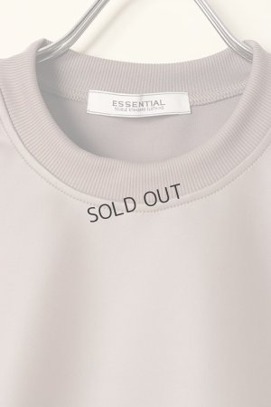 画像5: {SOLD}ダブスタ ダブルスタンダードクロージング｜DOUBLE STANDARD CLOTHING ESSENTIAL / アクアスーティングライクレザープルオーバー{-BCA}