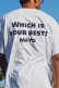 画像18: MAYO メイヨー ANGEL STREET PRINT SHORT SLEEVE TEE{-BES}