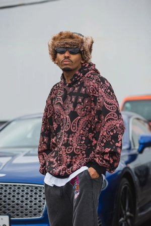 画像6: MAYO メイヨー PAISLEY PATTERN PRINT HOODIE{-BFA}