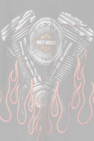 画像5:  {SOLD} Vintage HARLEY DAVIDSON TEXAS BEDFORD FIRE PATTERN TEE{-BAA}