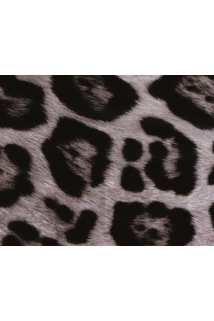 画像3: GRAVEVAULT グレイブボールト jaguar{-BFA}