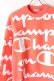 画像3: {SOLD}Champion チャンピオン SWEAT{-AIS} (3)