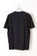 画像2: THE NORTH FACE ザ・ノース・フェイス M S/S HALF DOME TEE{-AIS} (2)