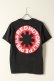 画像5: {SOLD}Vintage RED HOT CHILI PEPPERS TATTOO KOZIK GIRL TEE BLACK GIANT{-BAA} (5)