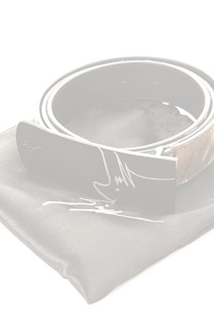 画像5:   GIUSEPPE ZANOTTI ジュゼッペザノッティ GZA OTHER BELT{-AEA}