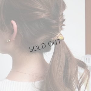 画像2: France Luxe フランス ラックス ポニーテール チューブ 15P（キャメルバック）{639709625421-BFS}