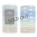 France Luxe フランス ラックス ポニーテール チューブ 15P（ソルトウォーター）