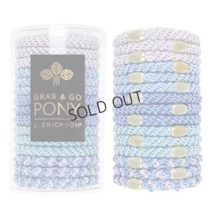 画像1: {SOLD}France Luxe フランス ラックス ポニーテール チューブ 15P（ウィステリア/ゴールド）{639709691556-BEA}