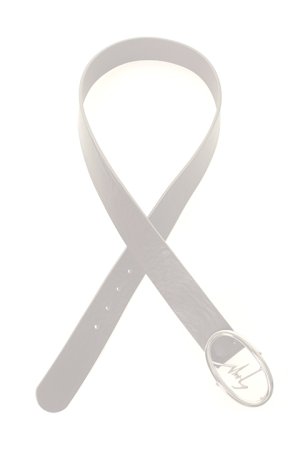 画像2:   GIUSEPPE ZANOTTI ジュゼッペザノッティ GZM BELT{72IAU7029ES-216-AGA}