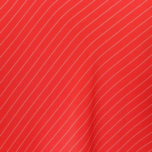 画像5: 【 40%OFF セール88,000円→52,800円】 BLAMINK ブラミンク レーヨンストライプラップスカート{7924-230-0250-RED-BAS}