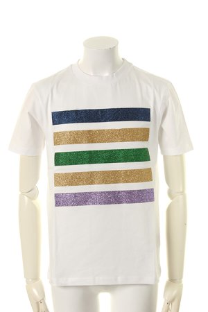 画像1: 【 50%OFF セール｜31,900円→15,950円】 Palm Angels パームエンジェルス 5 STRIPES TEE{PMAA001S7084005-0188-AGS}