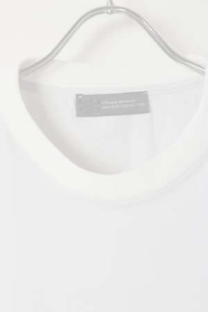 画像2:   ALBERTO BRESCI アルベルトブレーシ TECH T-SHIRT OVER {-BES}  :ABTS04-808GHOST 