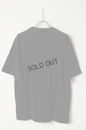 画像5: {SOLD}a good bad influence アグッドバッドインフルエンス Mountain T-SHIRT{-BES}