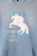 画像2: {SOLD}a good bad influence アグッドバッドインフルエンス HORSE LOGO GRADATION HOODIE{-BBA}