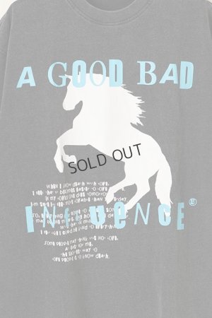 画像3: {SOLD}a good bad influence アグッドバッドインフルエンス HORSE LOGO WASHED T-SHIRT{GB-22-FW11-BLK-BBA}