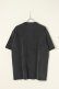 画像5: {SOLD}a good bad influence アグッドバッドインフルエンス HORSE LOGO WASHED T-SHIRT{GB-22-FW11-BLK-BBA}