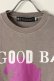 画像2: {SOLD}a good bad influence アグッドバッドインフルエンス HORSE LOGO WASHED T-SHIRT{GB-22-FW11-GRY-BBA}