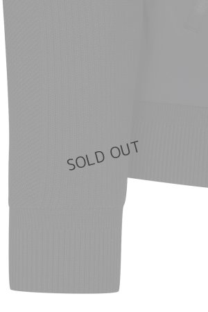 画像7: {SOLD}アニュー ゴルフ ANEW GOLF M パフォーマンスハイブリッドポイントJK{-BDA}