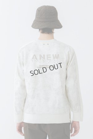 画像12: {SOLD}アニュー ゴルフ ANEW GOLF M ダイイング MTM{-BDA}