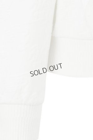 画像8: {SOLD}アニュー ゴルフ ANEW GOLF W バーンアウトロゴ アノラック{-BDA}