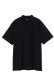 画像1: アニュー ゴルフ ANEW GOLF MEN SHORT SLEEVE MOCK NECK SHIRT JAPAN LIMITED{-BFS} (1)